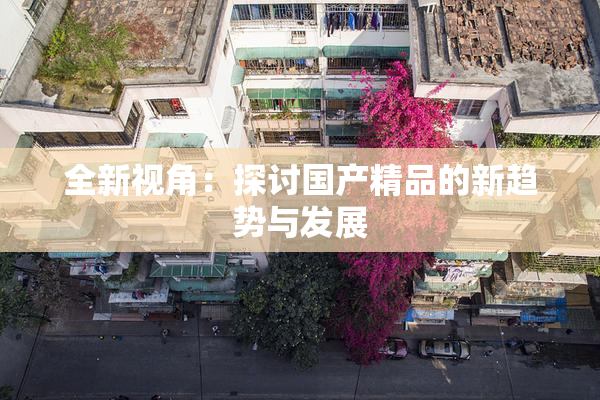 全新视角：探讨国产精品的新趋势与发展