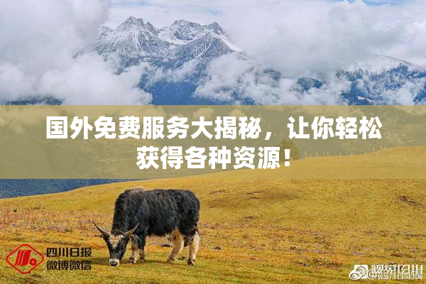国外免费服务大揭秘，让你轻松获得各种资源！