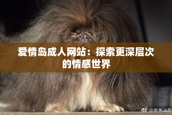 爱情岛成人网站：探索更深层次的情感世界