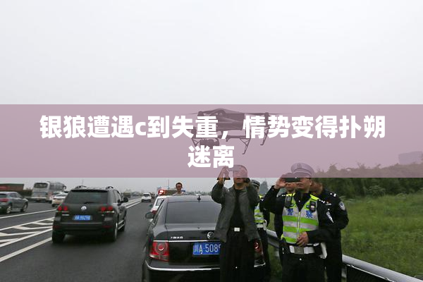 银狼遭遇c到失重，情势变得扑朔迷离