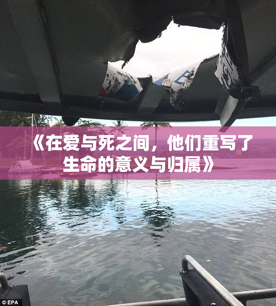 《在爱与死之间，他们重写了生命的意义与归属》