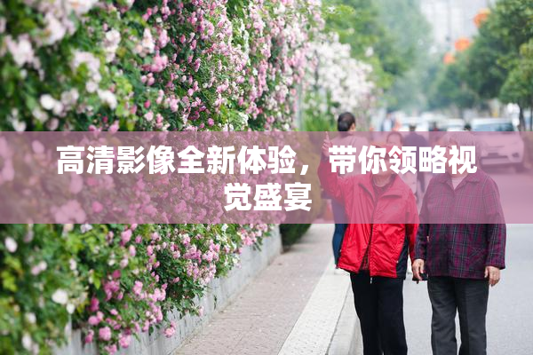 高清影像全新体验，带你领略视觉盛宴