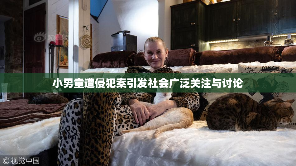 小男童遭侵犯案引发社会广泛关注与讨论