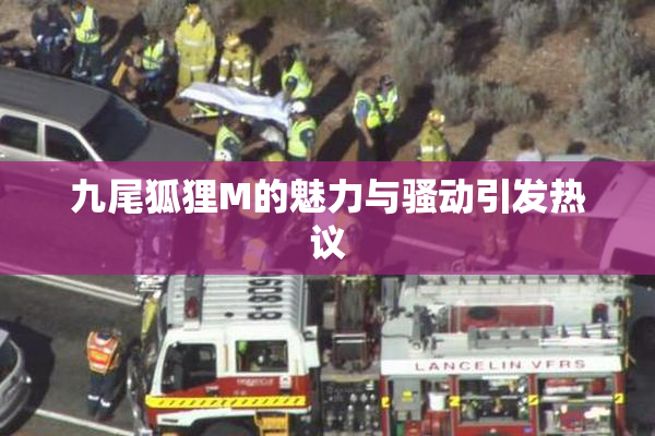 九尾狐狸M的魅力与骚动引发热议
