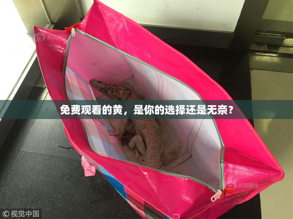 免费观看的黄，是你的选择还是无奈？