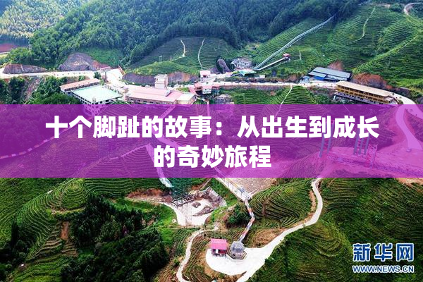 十个脚趾的故事：从出生到成长的奇妙旅程