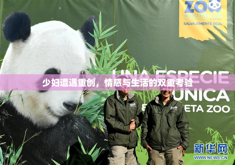 少妇遭遇重创，情感与生活的双重考验