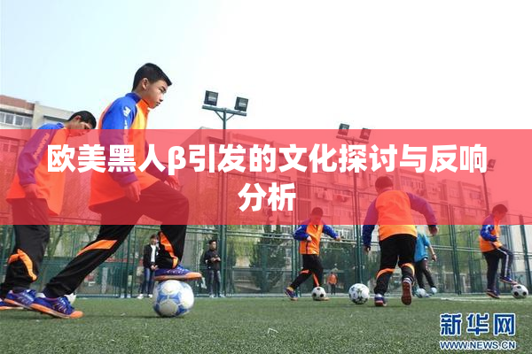 欧美黑人β引发的文化探讨与反响分析