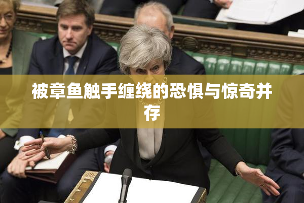 被章鱼触手缠绕的恐惧与惊奇并存