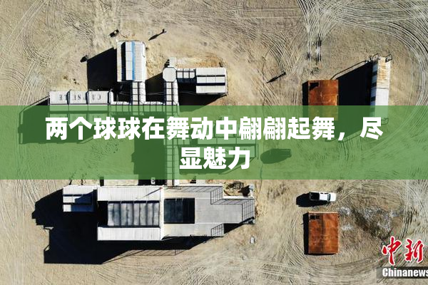 两个球球在舞动中翩翩起舞，尽显魅力
