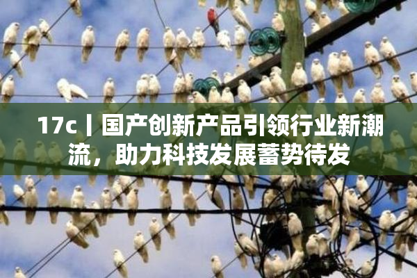 17c丨国产创新产品引领行业新潮流，助力科技发展蓄势待发
