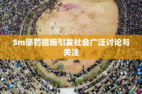 Sm惩罚措施引发社会广泛讨论与关注