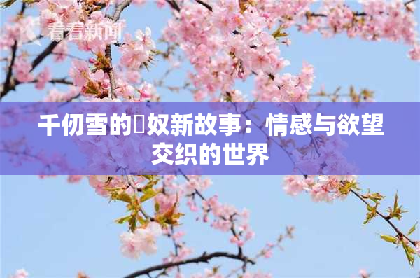 千仞雪的婬奴新故事：情感与欲望交织的世界