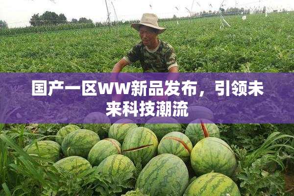 国产一区WW新品发布，引领未来科技潮流