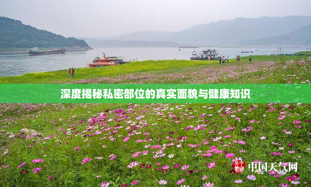 深度揭秘私密部位的真实面貌与健康知识