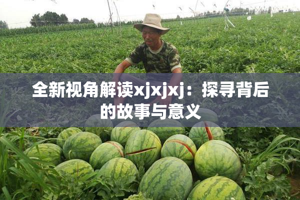 全新视角解读xjxjxj：探寻背后的故事与意义