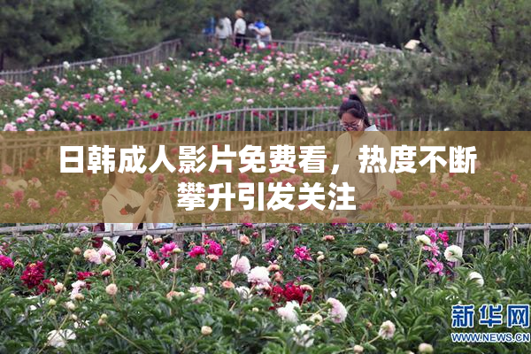 日韩成人影片免费看，热度不断攀升引发关注