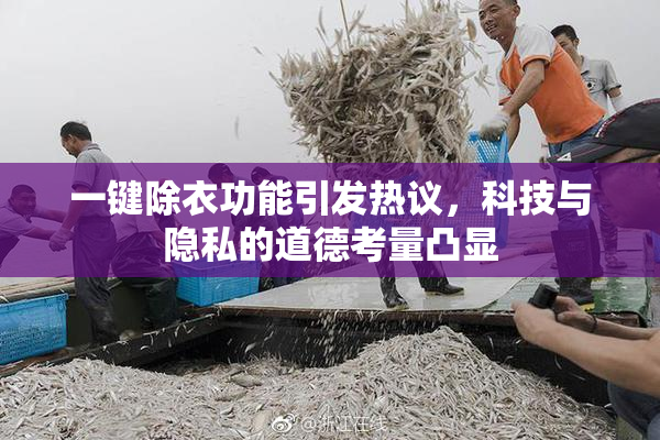 一键除衣功能引发热议，科技与隐私的道德考量凸显