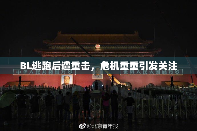 BL逃跑后遭重击，危机重重引发关注