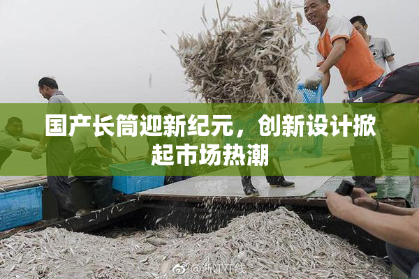 国产长筒迎新纪元，创新设计掀起市场热潮