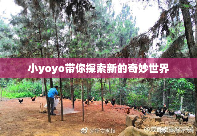 小yoyo带你探索新的奇妙世界