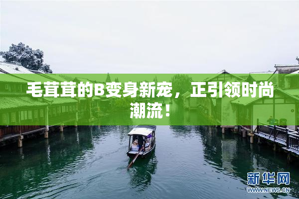毛茸茸的B变身新宠，正引领时尚潮流！