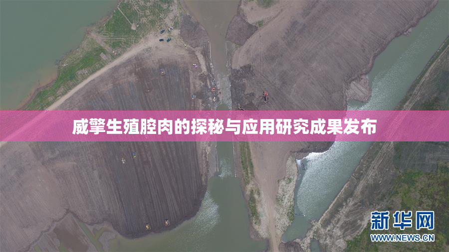 威擎生殖腔肉的探秘与应用研究成果发布