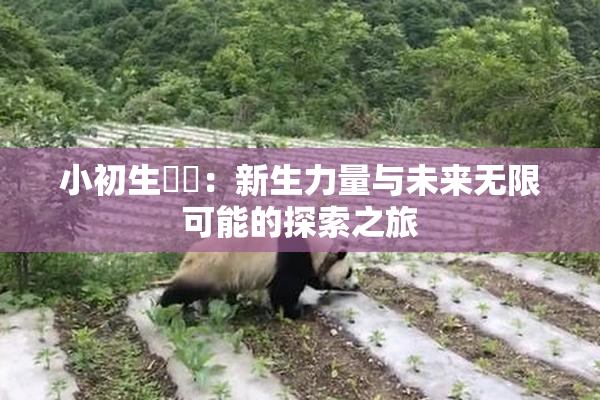 小初生❌‌：新生力量与未来无限可能的探索之旅