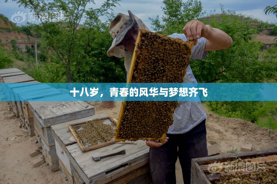 十八岁，青春的风华与梦想齐飞