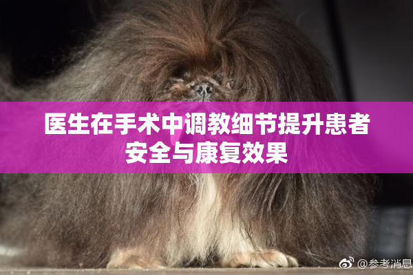 医生在手术中调教细节提升患者安全与康复效果