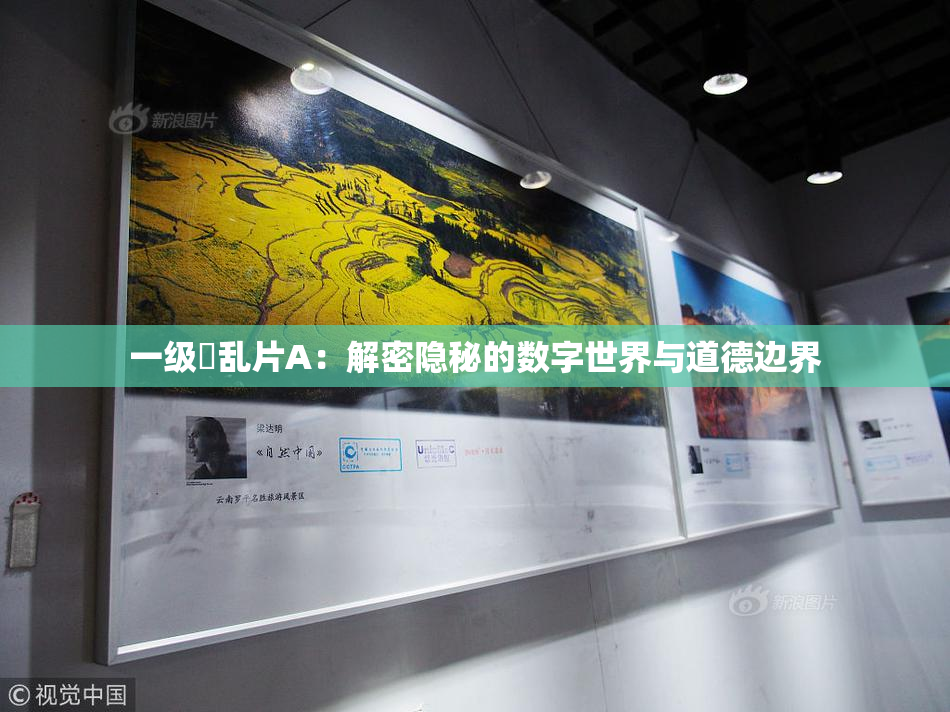 一级婬乱片A：解密隐秘的数字世界与道德边界