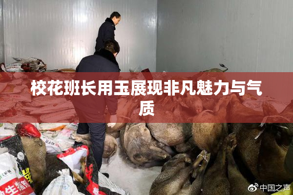 校花班长用玉展现非凡魅力与气质
