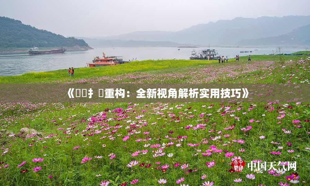 《喿喿扌畐重构：全新视角解析实用技巧》