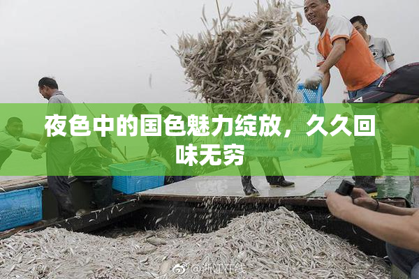 夜色中的国色魅力绽放，久久回味无穷