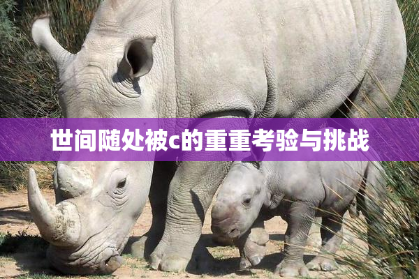 世间随处被c的重重考验与挑战