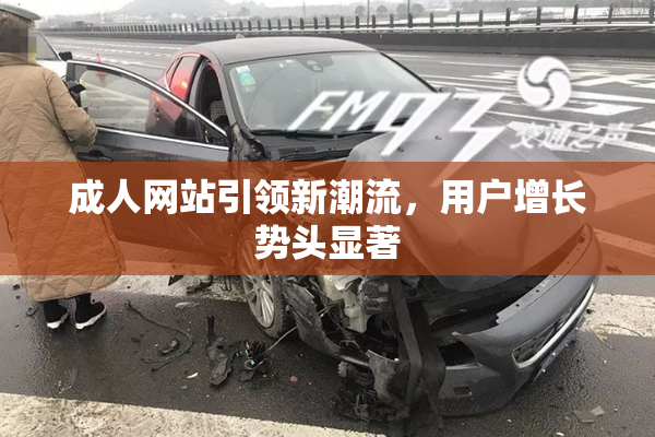 成人网站引领新潮流，用户增长势头显著