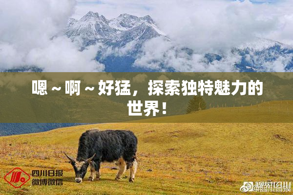 嗯～啊～好猛，探索独特魅力的世界！