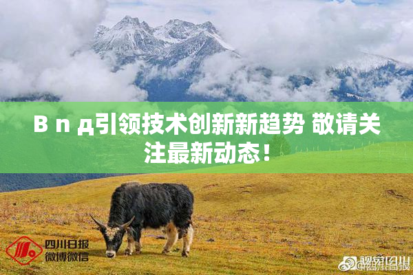B n д引领技术创新新趋势 敬请关注最新动态！