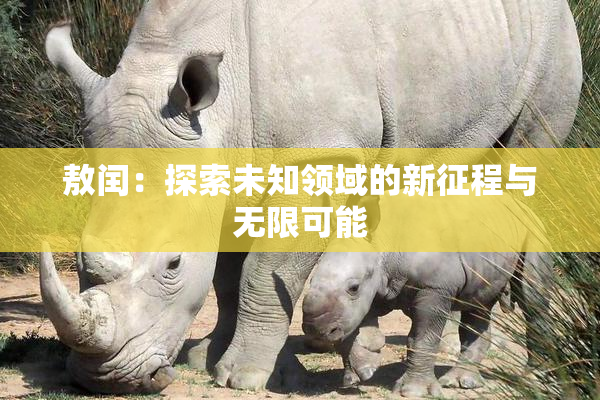 敖闰：探索未知领域的新征程与无限可能