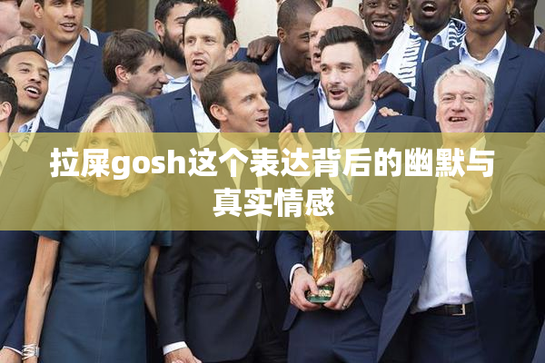 拉屎gosh这个表达背后的幽默与真实情感