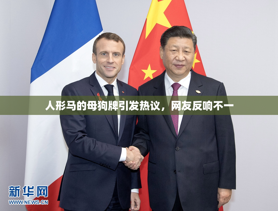 人形马的母狗牌引发热议，网友反响不一