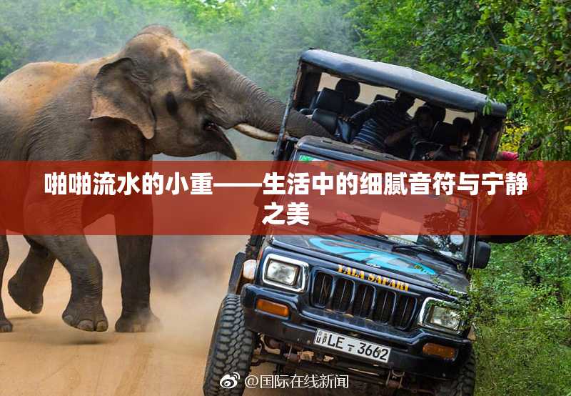 啪啪流水的小重——生活中的细腻音符与宁静之美