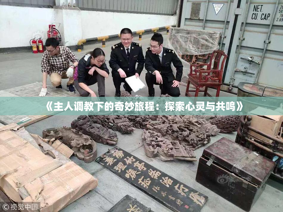 《主人调教下的奇妙旅程：探索心灵与共鸣》