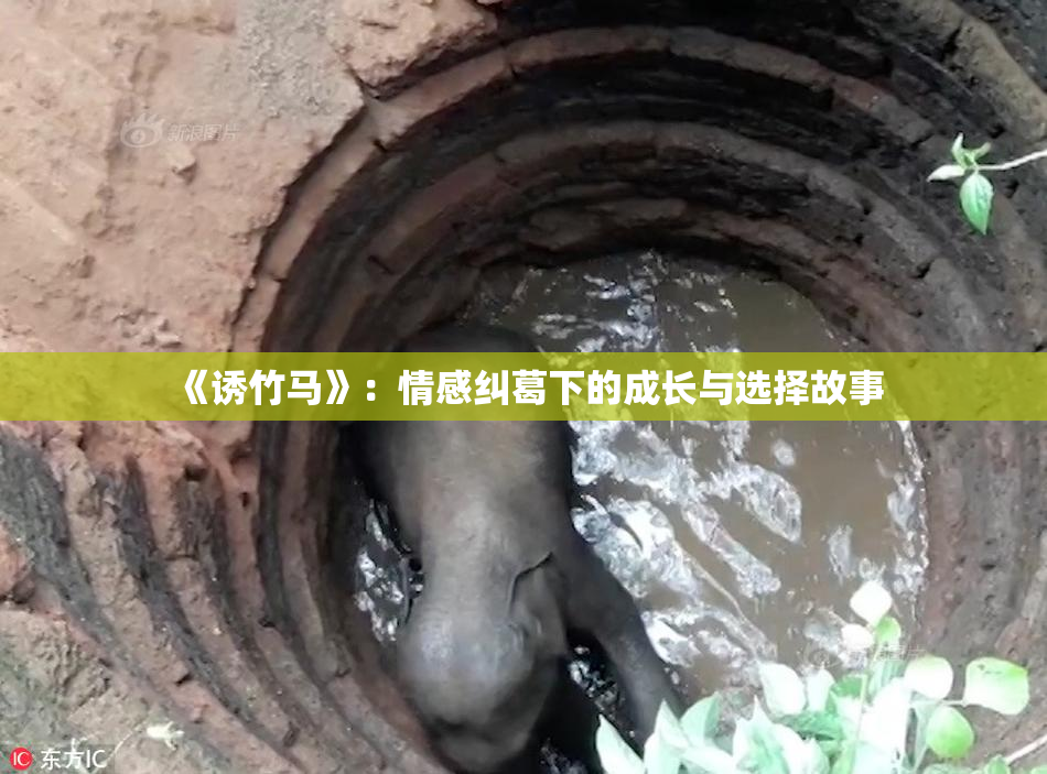 《诱竹马》：情感纠葛下的成长与选择故事