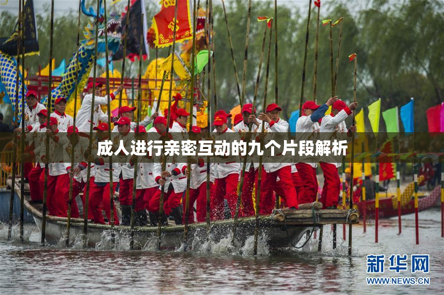 成人进行亲密互动的九个片段解析