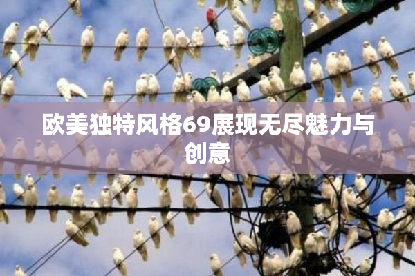 欧美独特风格69展现无尽魅力与创意