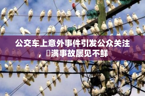 公交车上意外事件引发公众关注，婬满事故屡见不鲜