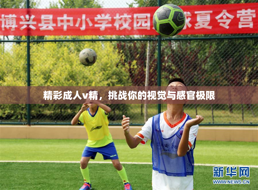 精彩成人v精，挑战你的视觉与感官极限