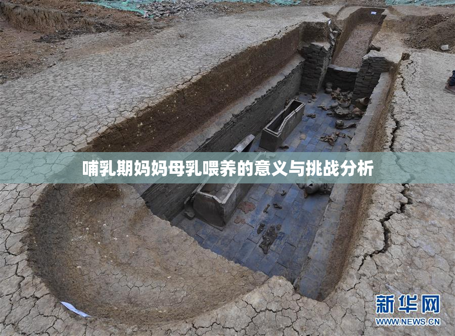 哺乳期妈妈母乳喂养的意义与挑战分析
