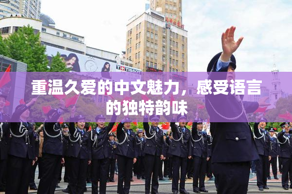 重温久爱的中文魅力，感受语言的独特韵味